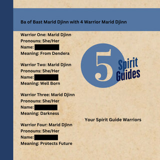 DJINN ENSIGN Spirit Guide -  Bast Shield - Stop Jealousy, Rude, Entitled People