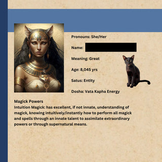 DJINN ENSIGN Spirit Guide -  Bast Shield - Stop Jealousy, Rude, Entitled People