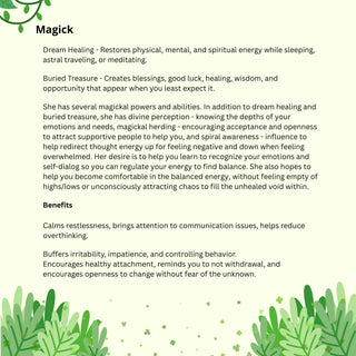 Realm of Soiltarius - Discover Precious Spirit Guides - Exclusive OMNI Bindings