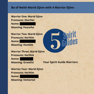 DJINN ENSIGN Spirit Guide - Ba of Neith Mage - Find Your Authentic Voice Guilt Free