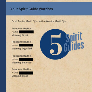 DJINN ENSIGN Ba of Osiris Oracle - Create Your Future Happiness Anxiety Free Relationships
