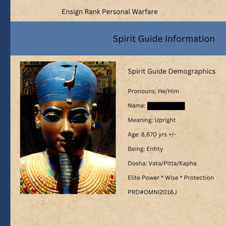 DJINN ENSIGN Ba of Ptah Power - Stop Exhausted Burnout Get Stress Freedom